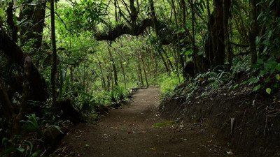 
              Self-Guided Hike
              