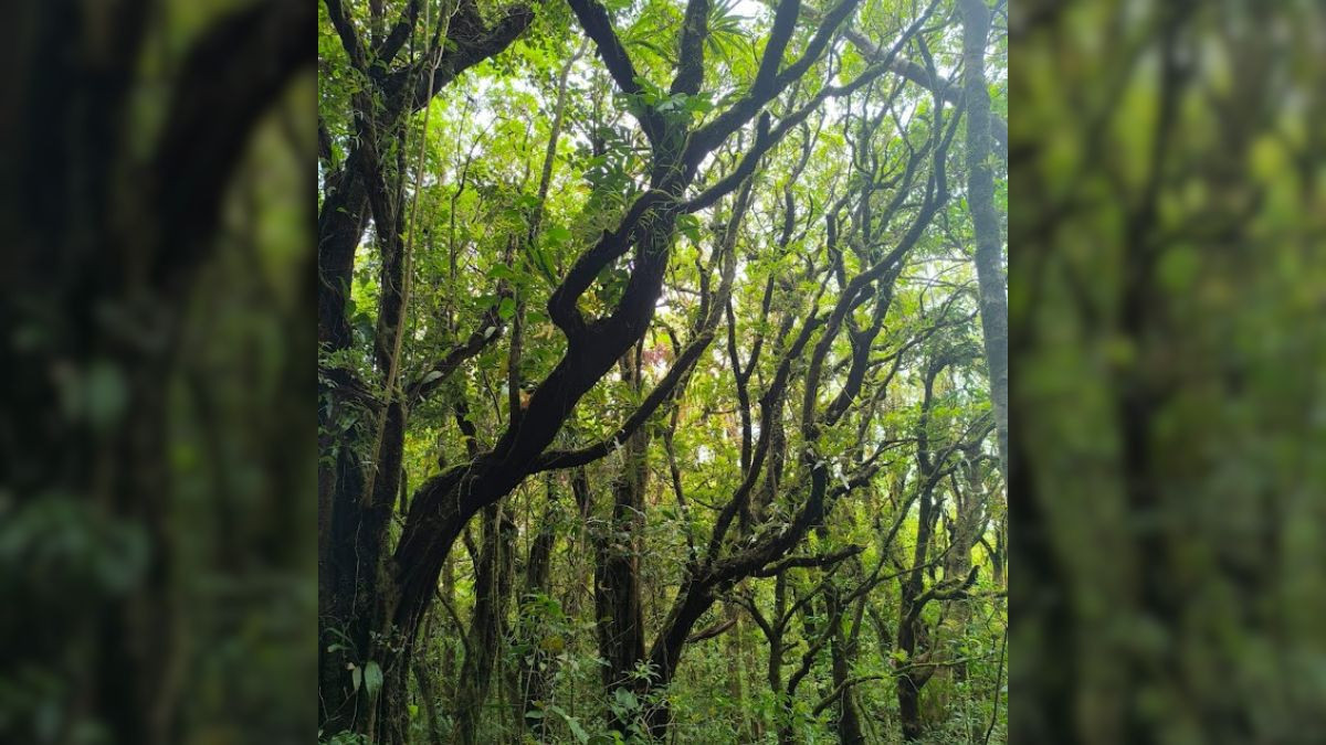 Self-Guided Hike