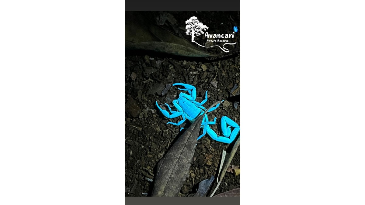 Self-Guided Hike