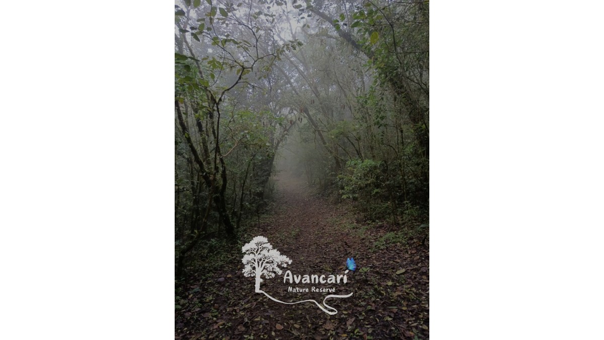 Self-Guided Hike