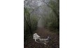 Self-Guided Hike