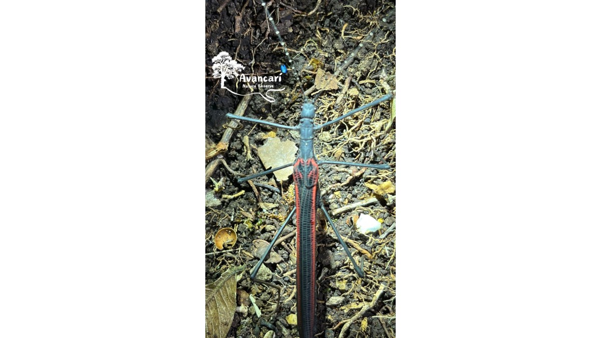 Self-Guided Hike