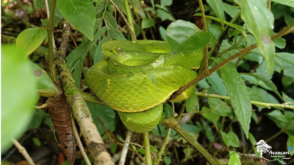 Self-Guided Hike