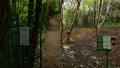 Self-Guided Hike