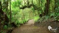 Self-Guided Hike