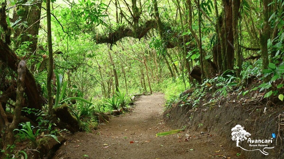 Self-Guided Hike