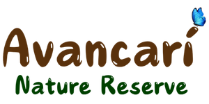 Avancarí Nature Reserve