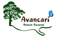 Avancarí Nature Reserve
